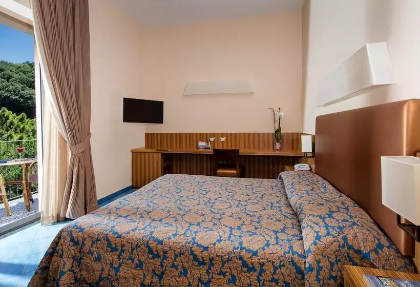 اتاق استاندارد با چشم‌انداز دریا, Grand Hotel Due Golfi