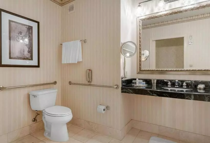 اتاق دلوکس مخصوص معلولین, Omni San Francisco