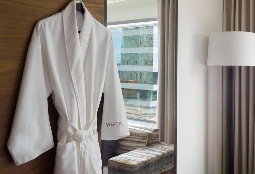 חדר דחוקס עם מיטת קינג, The Westin Charlotte