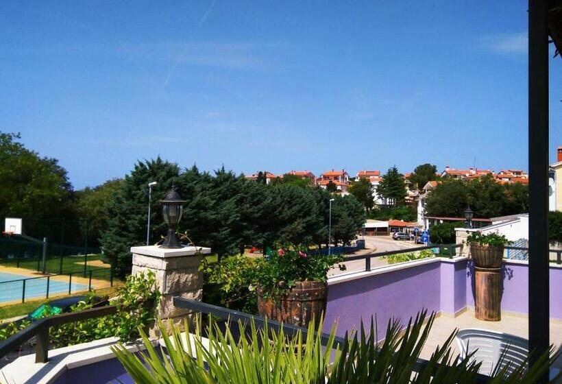 Студио Стандарт с Террасой, Aparthotel Viola