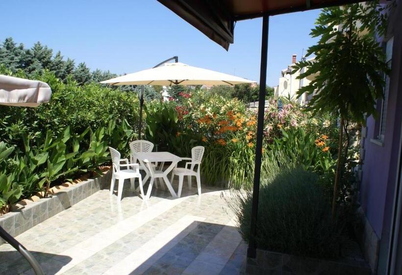 Студио Стандарт Вид на Сад, Aparthotel Viola