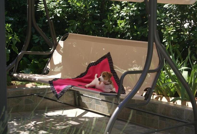 Студио Стандарт Вид на Сад, Aparthotel Viola