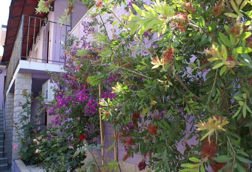 Студио Стандарт Вид на Сад, Aparthotel Viola