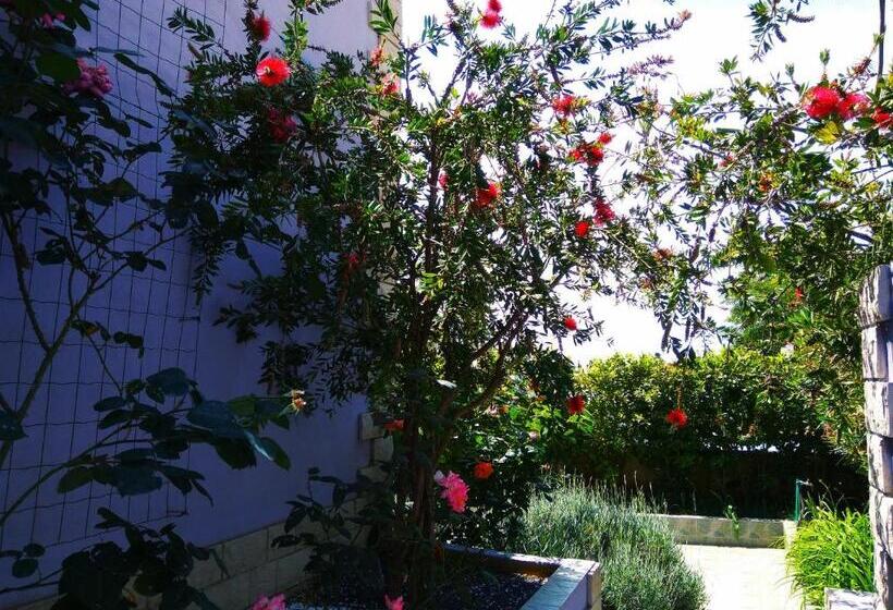 Студио Стандарт Вид на Сад, Aparthotel Viola