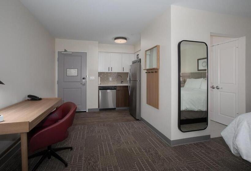 带大床的标准工作室, Staybridge Suites   Carson City   Tahoe Area, An Ihg