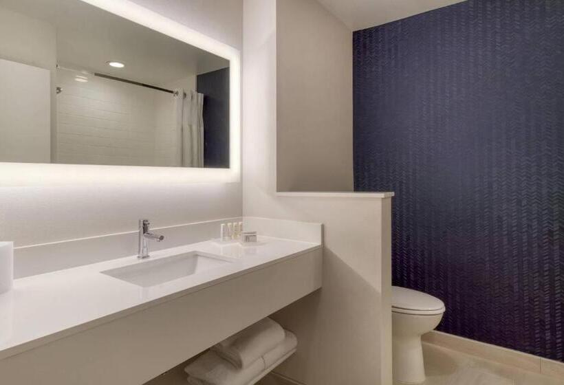 غرفة قياسية سرير كينج, Fairfield Inn & Suites By Marriott Charlotte Belmont