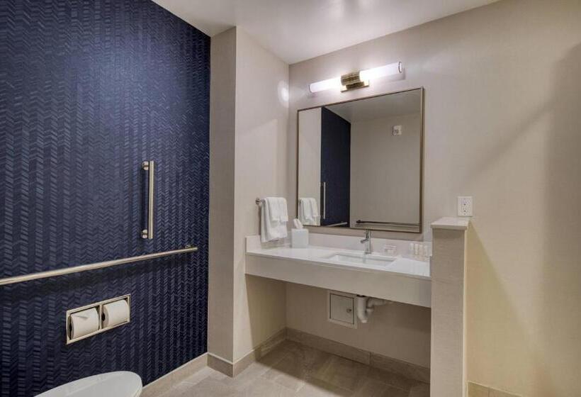 Стандартный Номер Кровать Кинг, Fairfield Inn & Suites By Marriott Charlotte Belmont