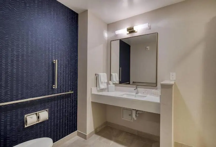 キングサイズベッドのスタンダードルーム, Fairfield Inn & Suites By Marriott Charlotte Belmont