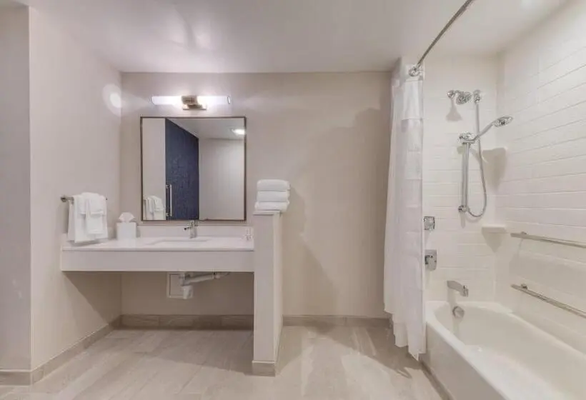キングサイズベッドのスイートルーム, Fairfield Inn & Suites By Marriott Charlotte Belmont