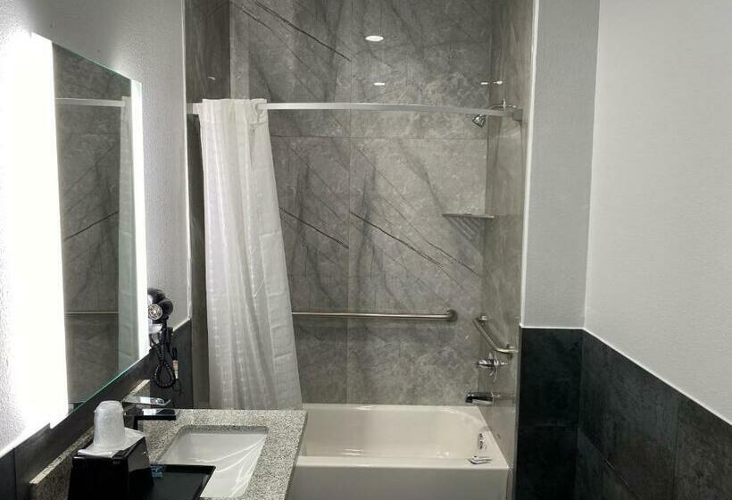 带大床的豪华间, Palace Inn Crosby