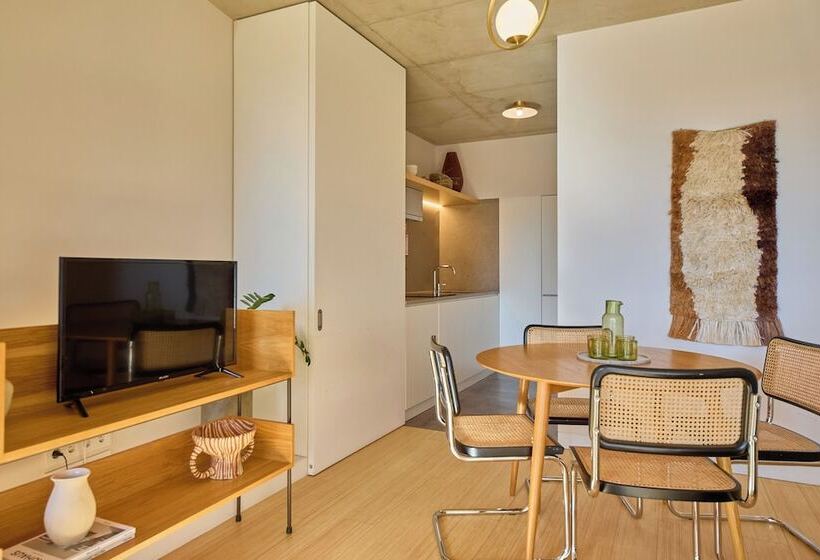 1 Bedroom Apartment City View, Aparthotel Oporto Anselmo