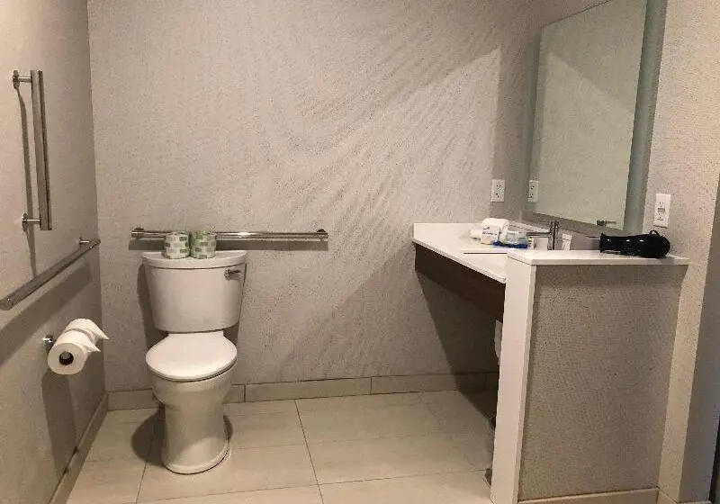 身障者適用クイーンサイズベッドルーム, Holiday Inn Express & Suites   Madison West   Middleton, An Ihg