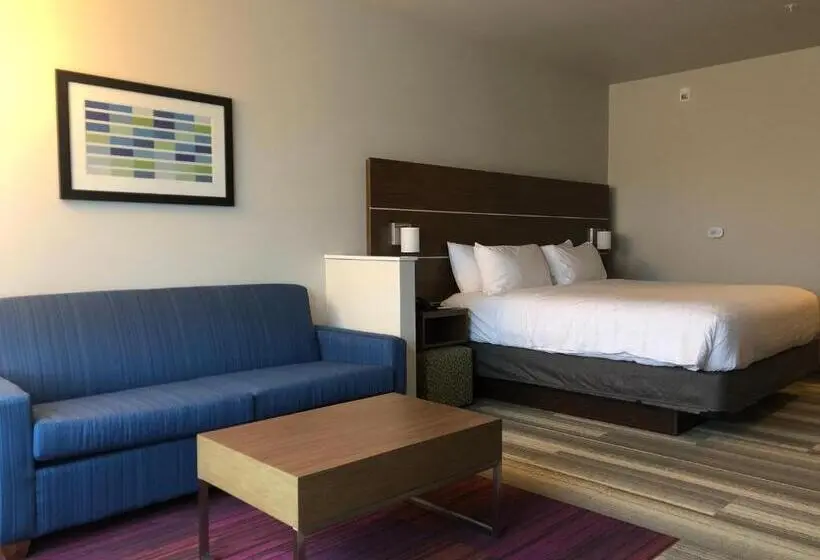 キングサイズベッドのスイートルーム, Holiday Inn Express & Suites   Madison West   Middleton, An Ihg