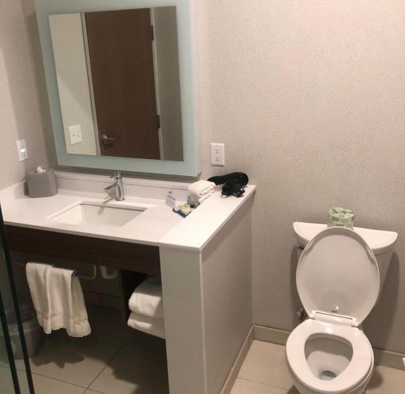 장애인을 위한 스탠다드 룸, Holiday Inn Express & Suites   Madison West   Middleton, An Ihg