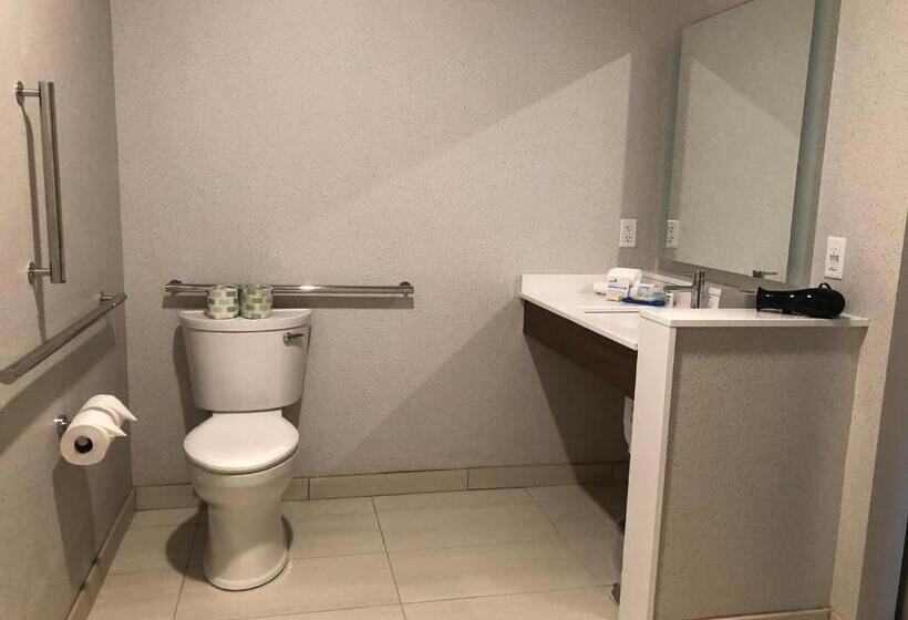 장애인을 위한 킹사이즈 침대 스탠다드 룸, Holiday Inn Express & Suites   Madison West   Middleton, An Ihg