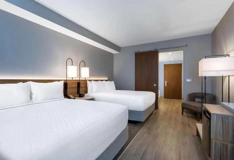 اتاق استاندارد, Wyndham Garden Miami International Airport