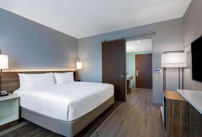 장애인을 위한 킹사이즈 침대 스탠다드 룸, Wyndham Garden Miami International Airport