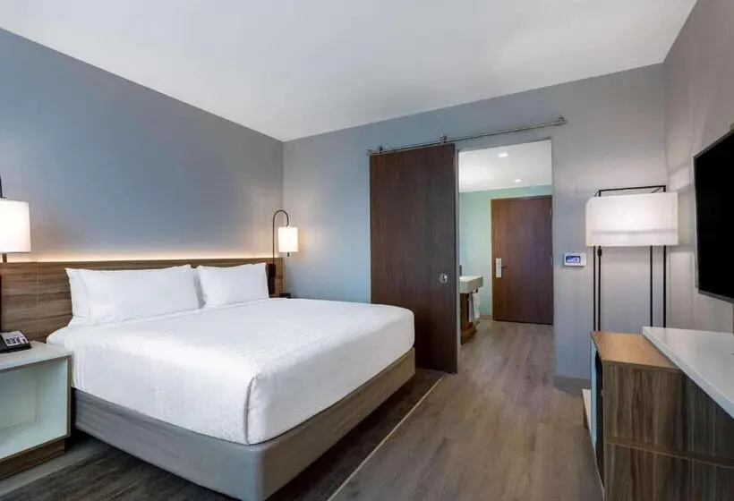 اتاق استاندارد با تخت بزرگ برای معلولان, Wyndham Garden Miami International Airport