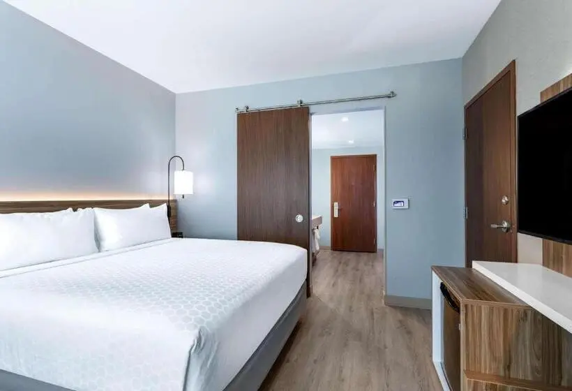 اتاق استاندارد با تخت بزرگ برای معلولان, Wyndham Garden Miami International Airport