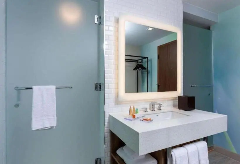 اتاق استاندارد با تخت بزرگ برای معلولان, Wyndham Garden Miami International Airport