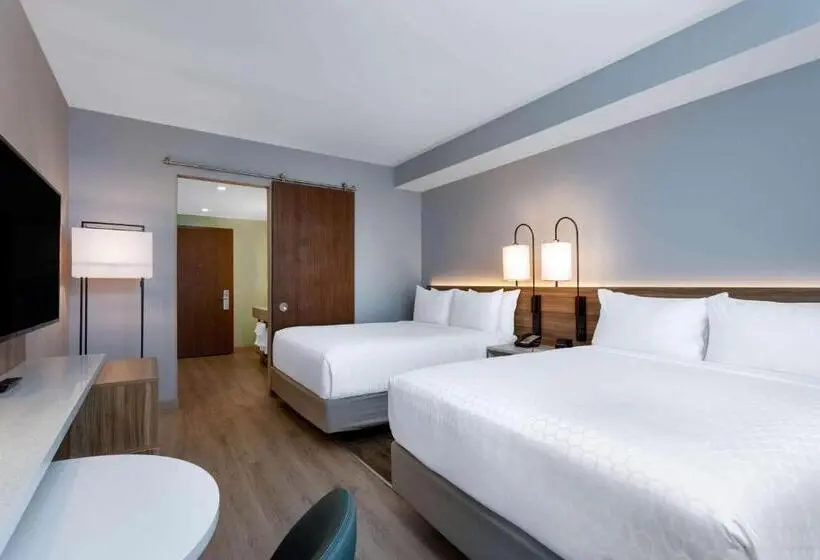 اتاق استاندارد برای معلولان, Wyndham Garden Miami International Airport