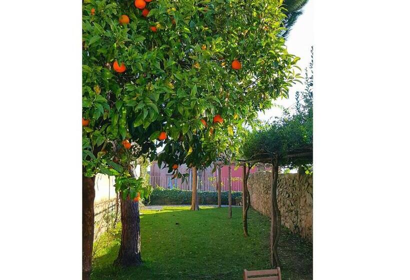 اتاق خانوادگی با چشمانداز باغ, Porto Alegria Garden