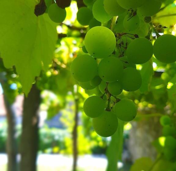 اتاق خانوادگی با چشمانداز باغ, Porto Alegria Garden