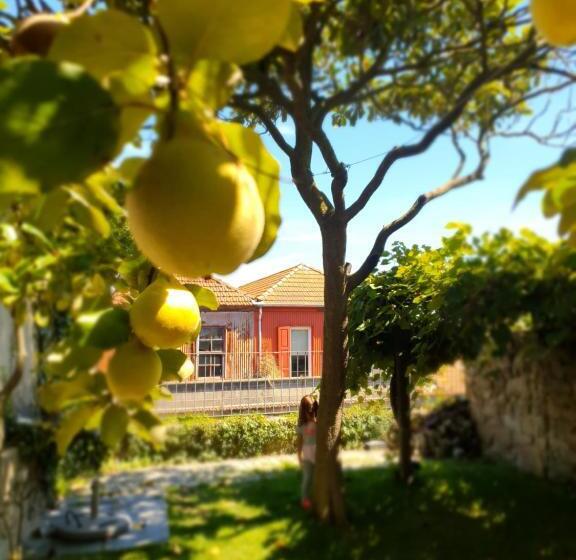 اتاق خانوادگی با چشمانداز باغ, Porto Alegria Garden
