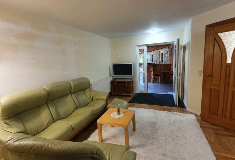 テラス付き1ベッドルームアパートメント, Pension Nippgen