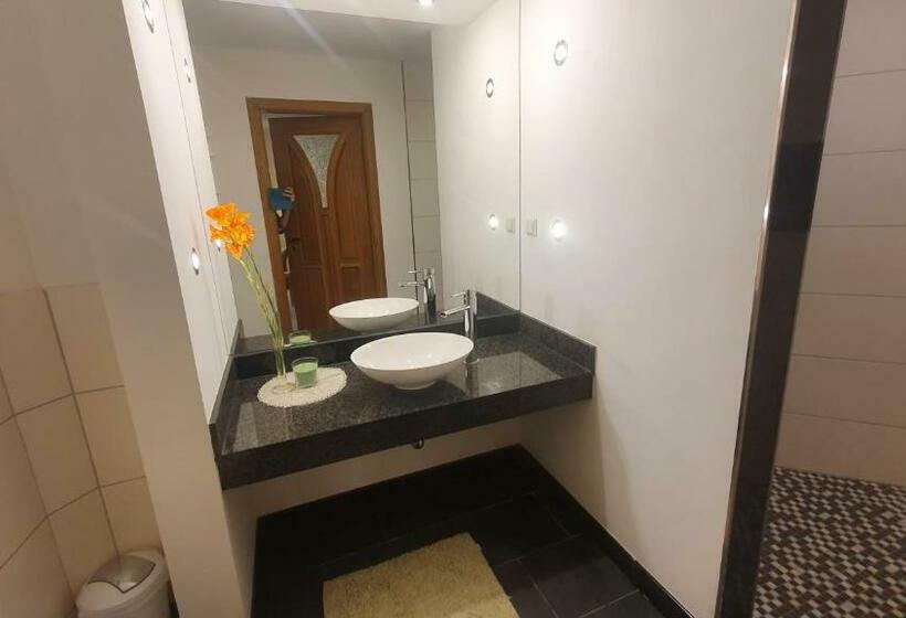 テラス付き1ベッドルームアパートメント, Pension Nippgen