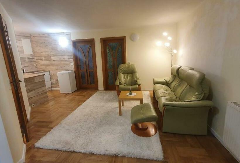 テラス付き1ベッドルームアパートメント, Pension Nippgen