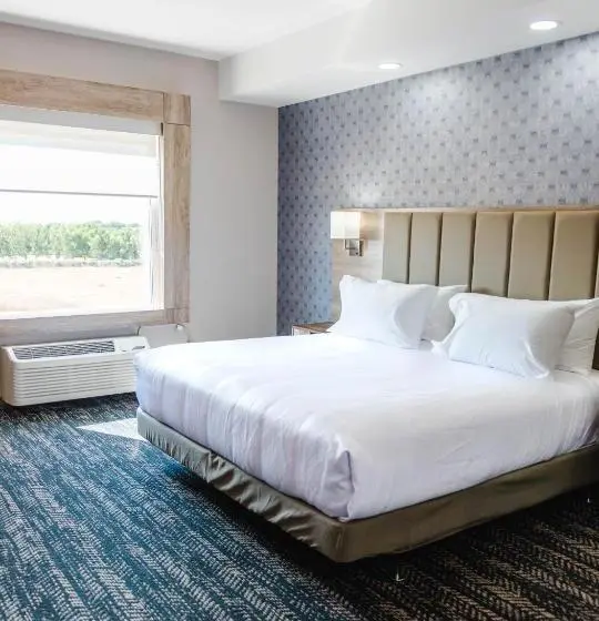 اتاق استاندارد با تخت بزرگ برای معلولان, Best Western Premier Executive Residency Medicine Hat