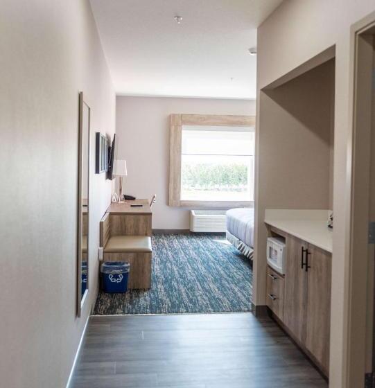 חדר סטנדרט, מיטת קינג, מותאם לאדם עם מוגבלויות, Best Western Premier Executive Residency Medicine Hat