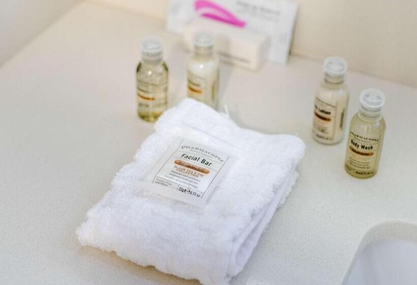 חדר סטנדרט, Best Western Premier Executive Residency Medicine Hat