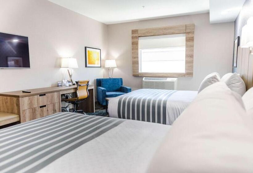 חדר סטנדרט, Best Western Premier Executive Residency Medicine Hat