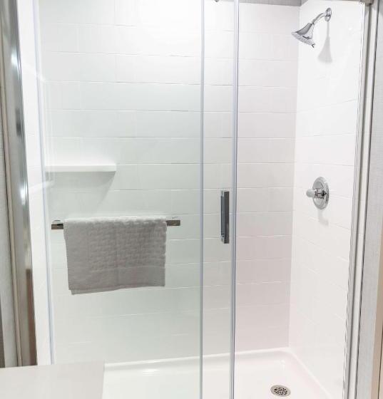 חדר סטנדרט עם מיטת קינג, Best Western Premier Executive Residency Medicine Hat