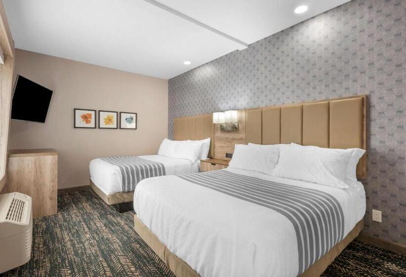 סוויטה, Best Western Premier Executive Residency Medicine Hat