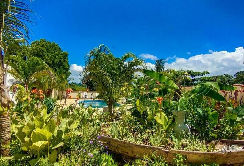 豪华园景房, Golden Palm Boutique Zanzibar