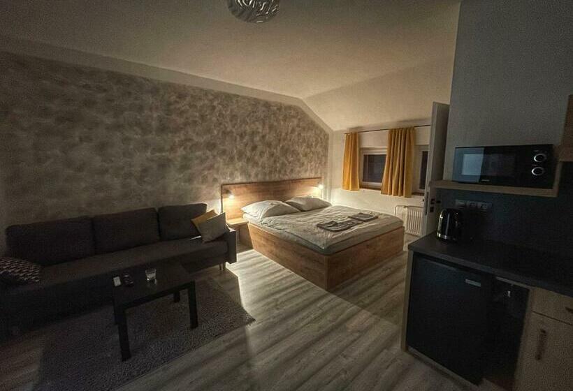 Standard-huone, Apart Mikeš