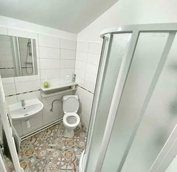 Camera Standard, Apart Mikeš
