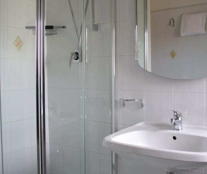 اتاق استاندارد سه نفره, Alex