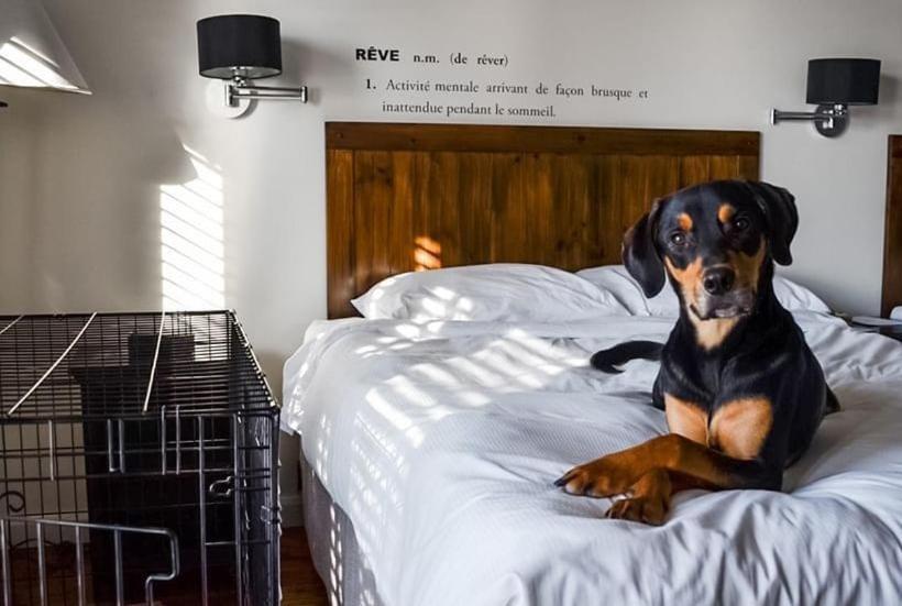 스탠다드 룸, Auberge Du Lac Taureau