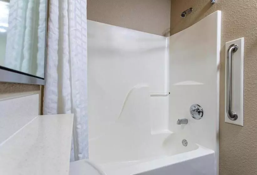 اتاق استاندارد برای معلولان, Candlewood Suites Appleton, An Ihg