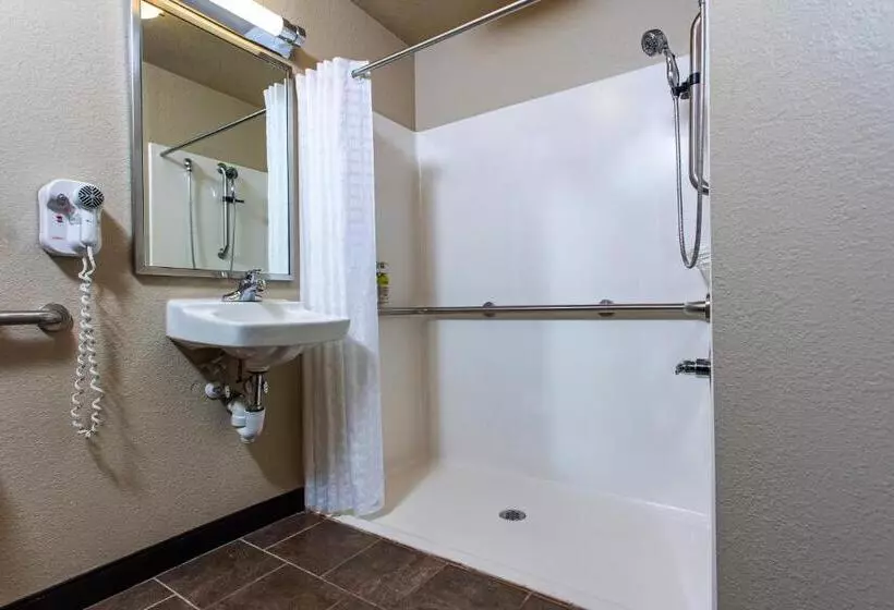 اتاق استاندارد برای معلولان, Candlewood Suites Appleton, An Ihg