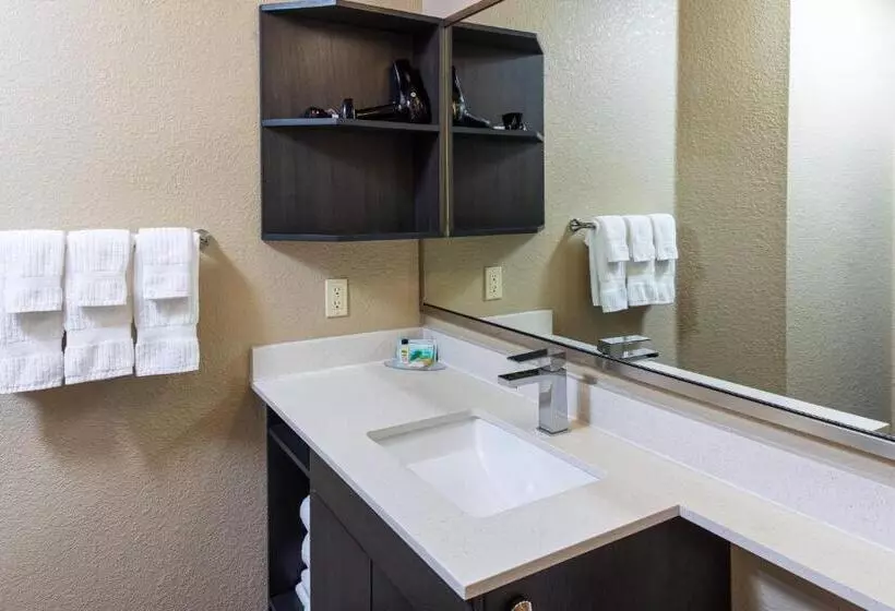 اتاق استاندارد برای معلولان, Candlewood Suites Appleton, An Ihg