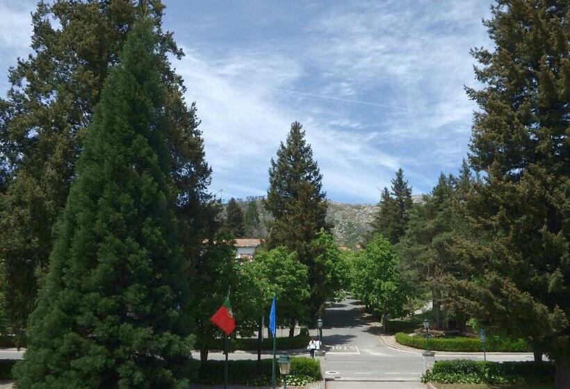 标准单人间客户, Golden Tulip Caramulo