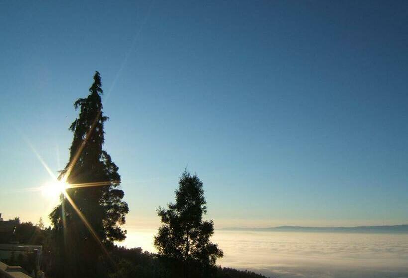 带观景的高级间, Golden Tulip Caramulo