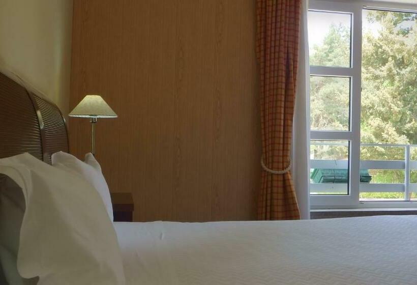 带观景的标准间, Golden Tulip Caramulo