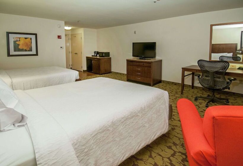 غرفه قياسيه سريرين مزدوجين, Wyndham Garden New Orleans Airport