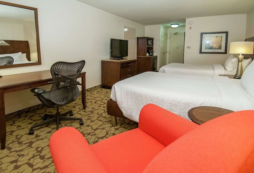 带2个双人床的标准工作室, Wyndham Garden New Orleans Airport